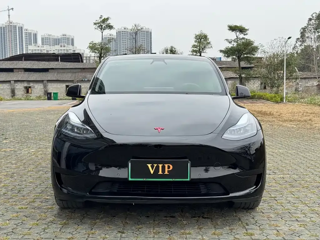 Tesla Model Y — фото 8
