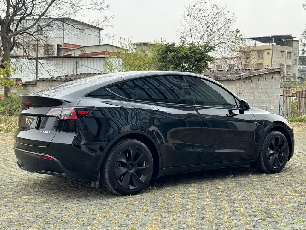 Tesla Model Y — фото 9