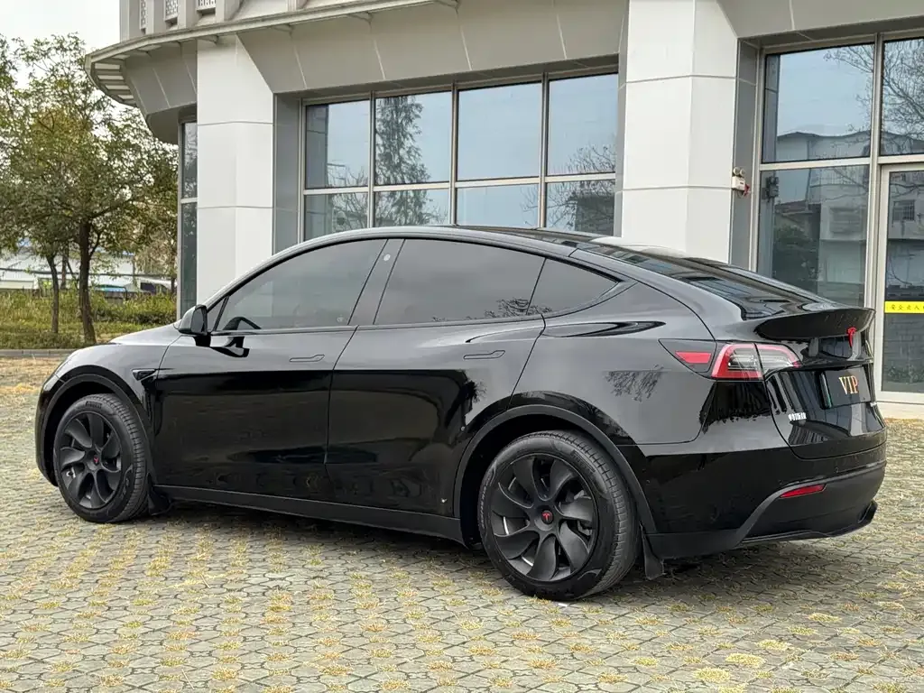 Tesla Model Y — фото 6