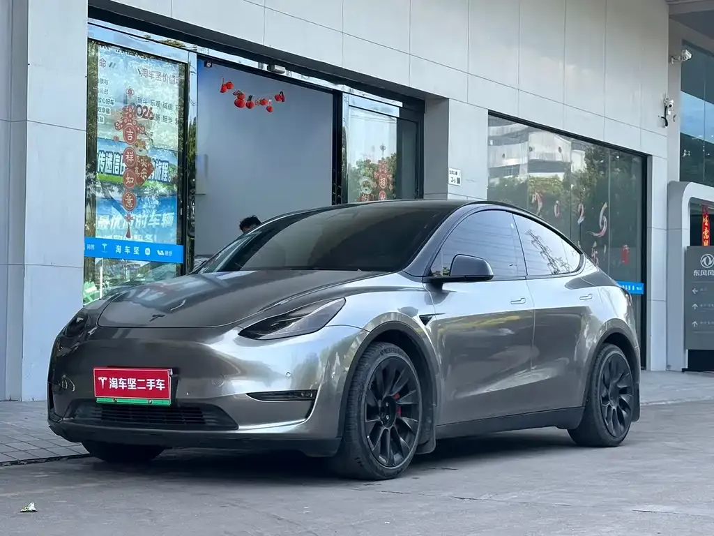 Tesla Model Y 2021 из CN, фото 1