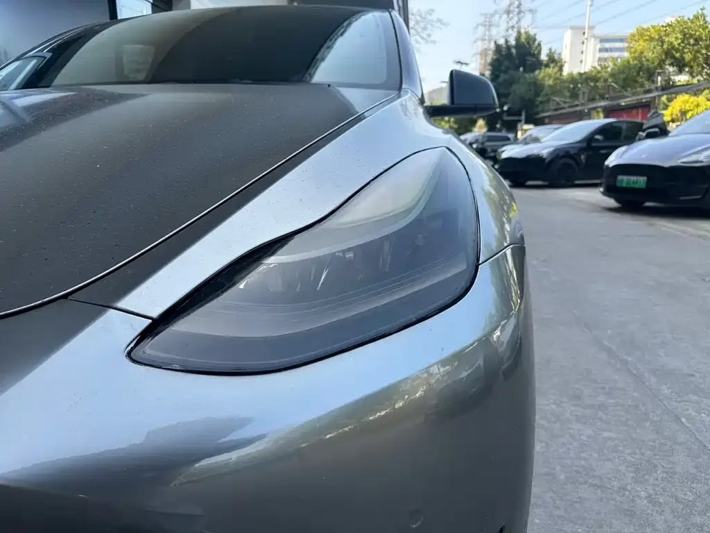 Tesla Model Y 2021 из CN, фото 6