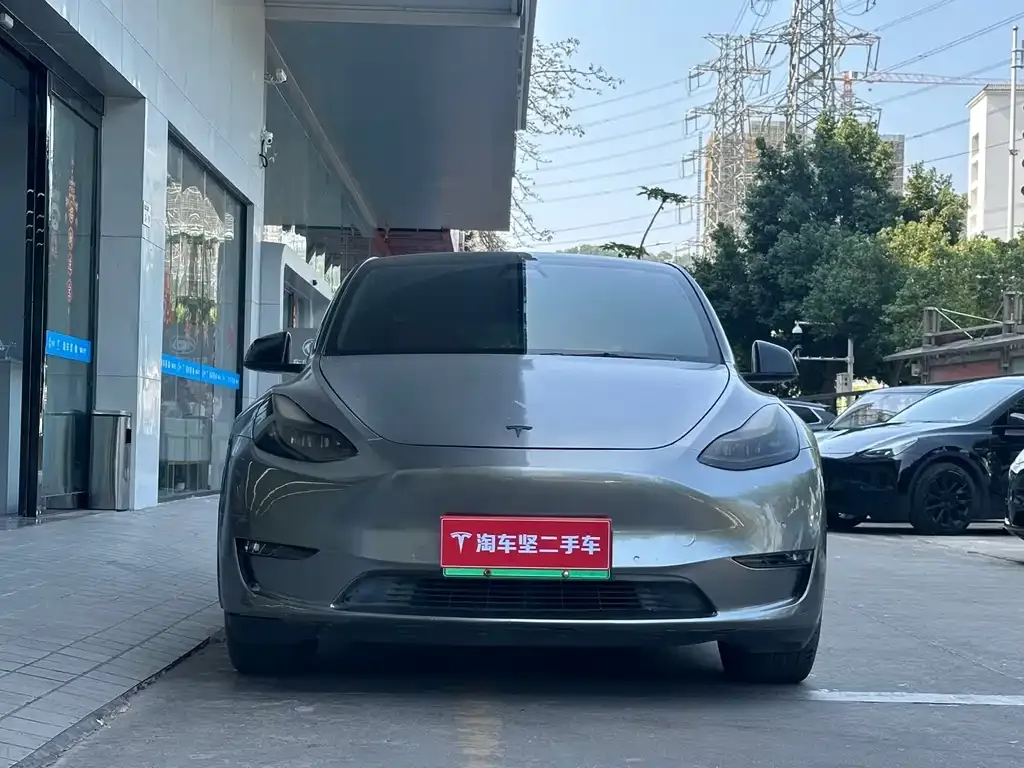 Tesla Model Y 2021 из CN, фото 8