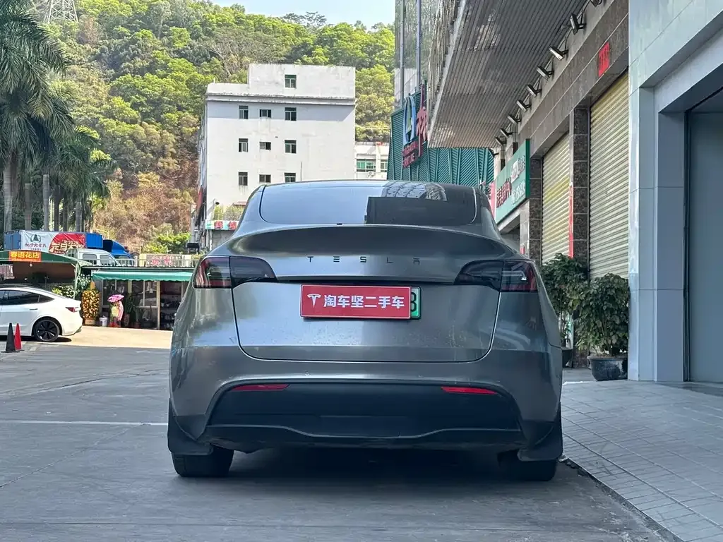 Tesla Model Y 2021 из CN, фото 2
