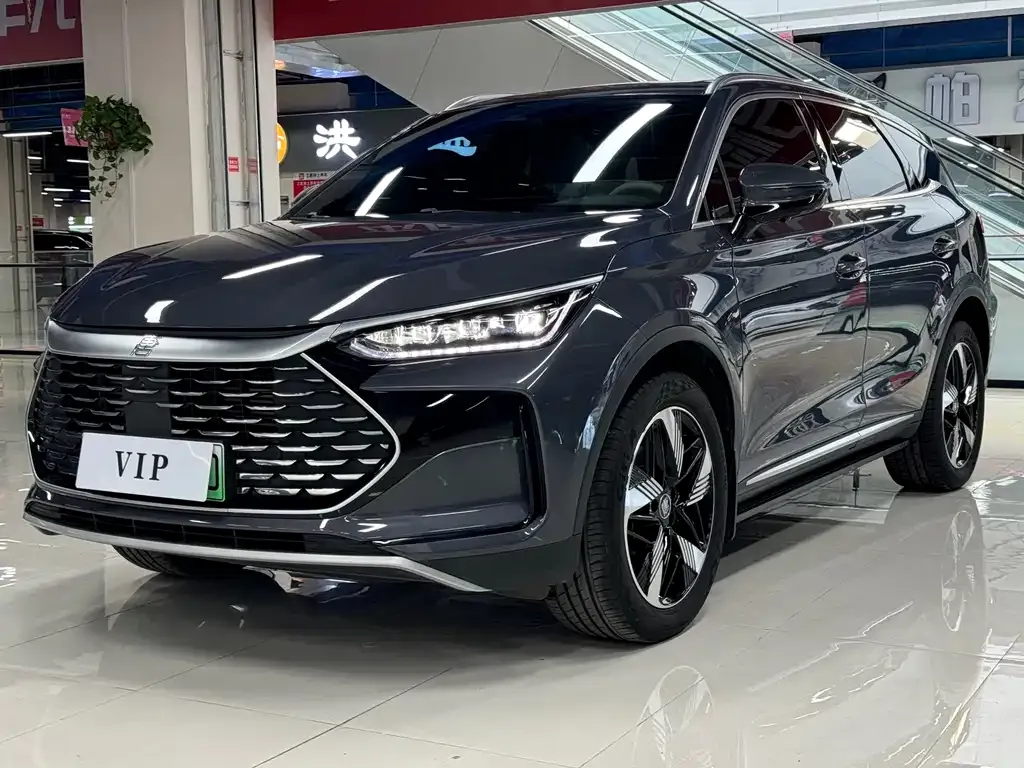BYD Tang New Energy 2024 из CN, фото 1