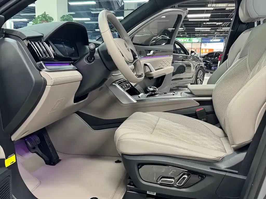 BYD Tang New Energy 2024 из CN, фото 9