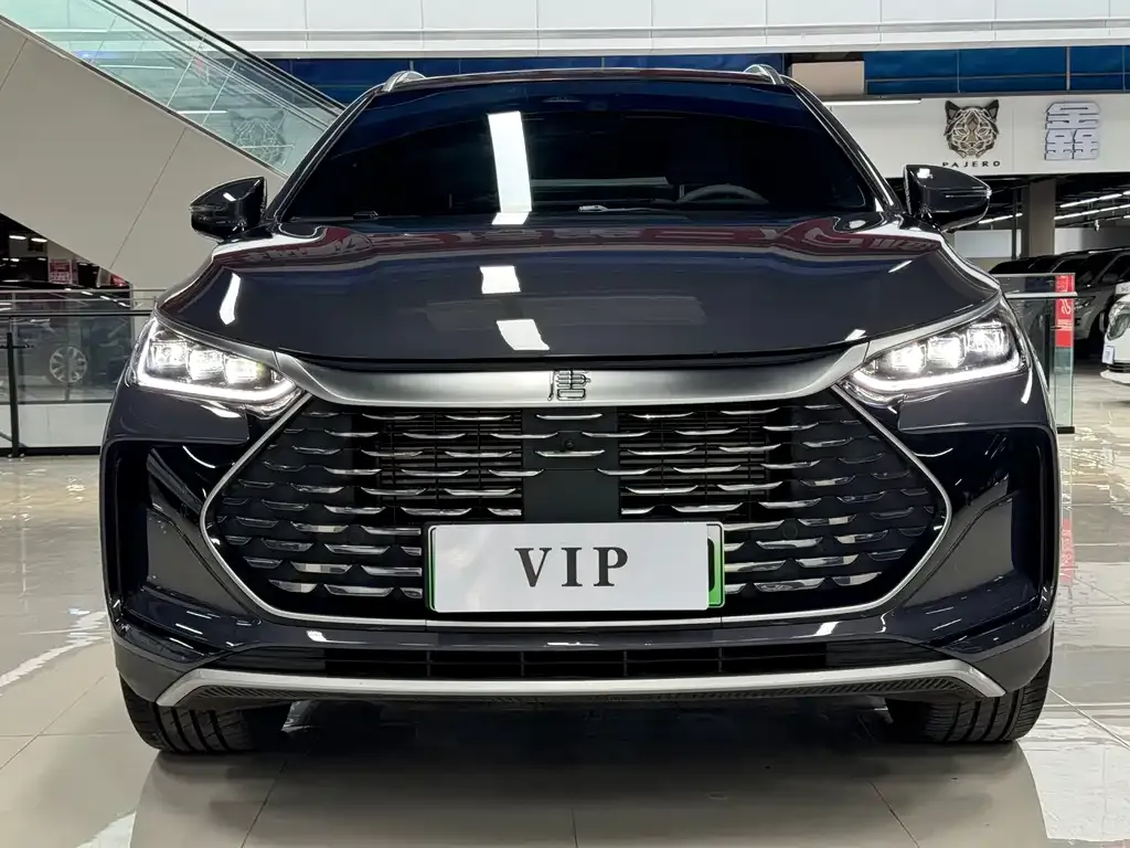 BYD Tang New Energy 2024 из CN, фото 5
