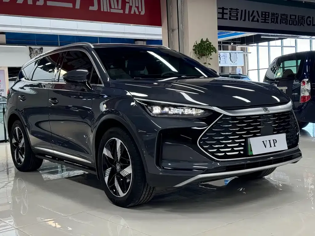 BYD Tang New Energy 2024 из CN, фото 8