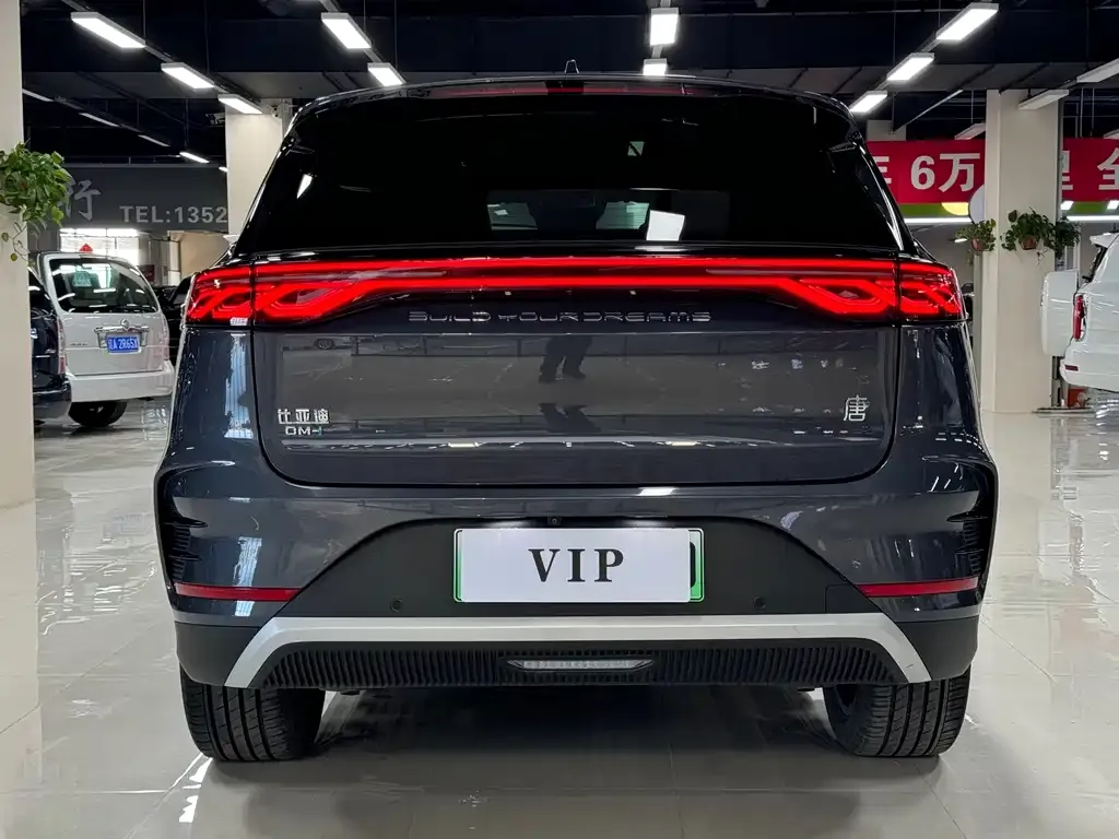 BYD Tang New Energy 2024 из CN, фото 2