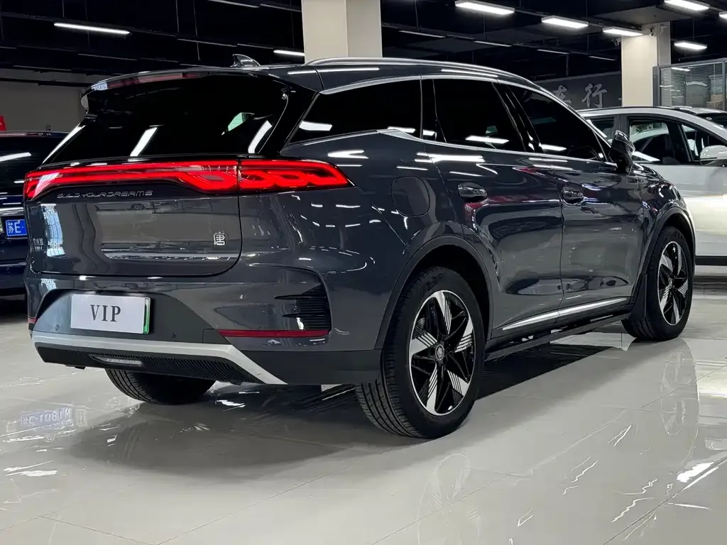 BYD Tang New Energy 2024 из CN, фото 4