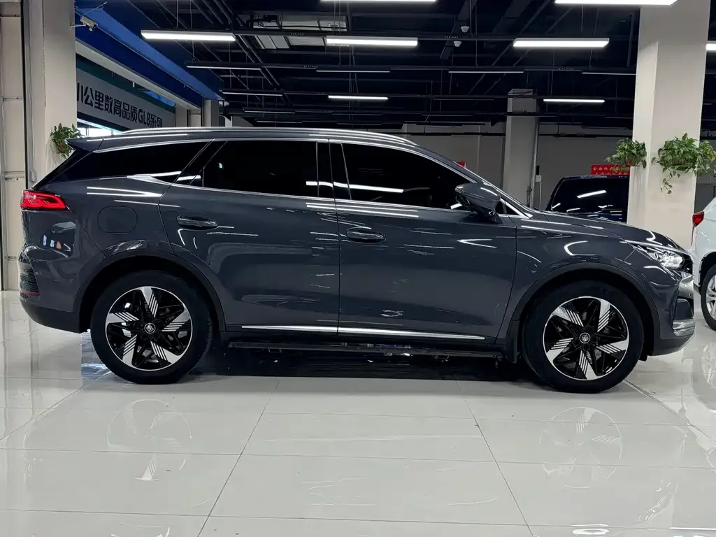 BYD Tang New Energy 2024 из CN, фото 7