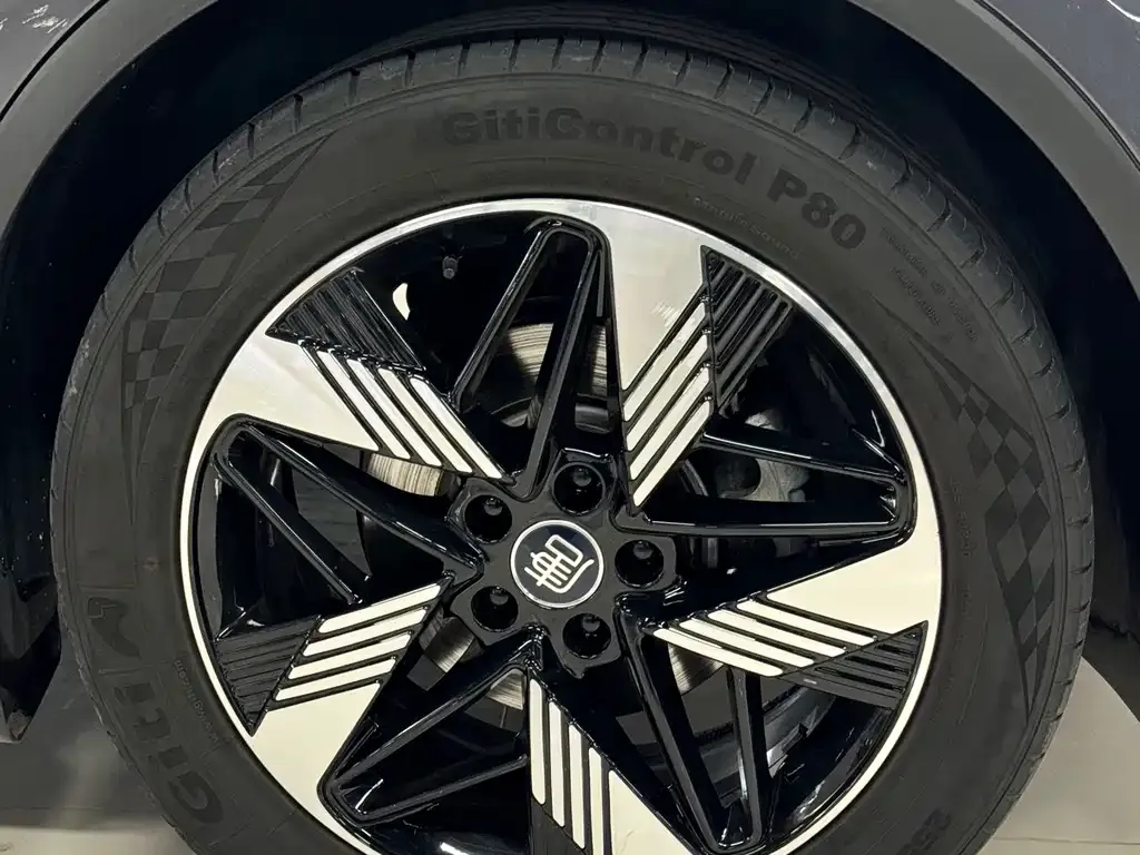 BYD Tang New Energy 2024 из CN, фото 10