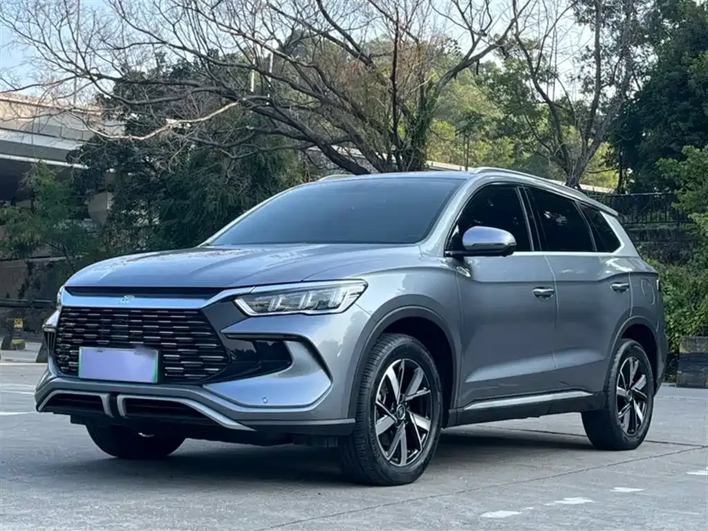 BYD Pro New Energy 2024 из CN, фото 1