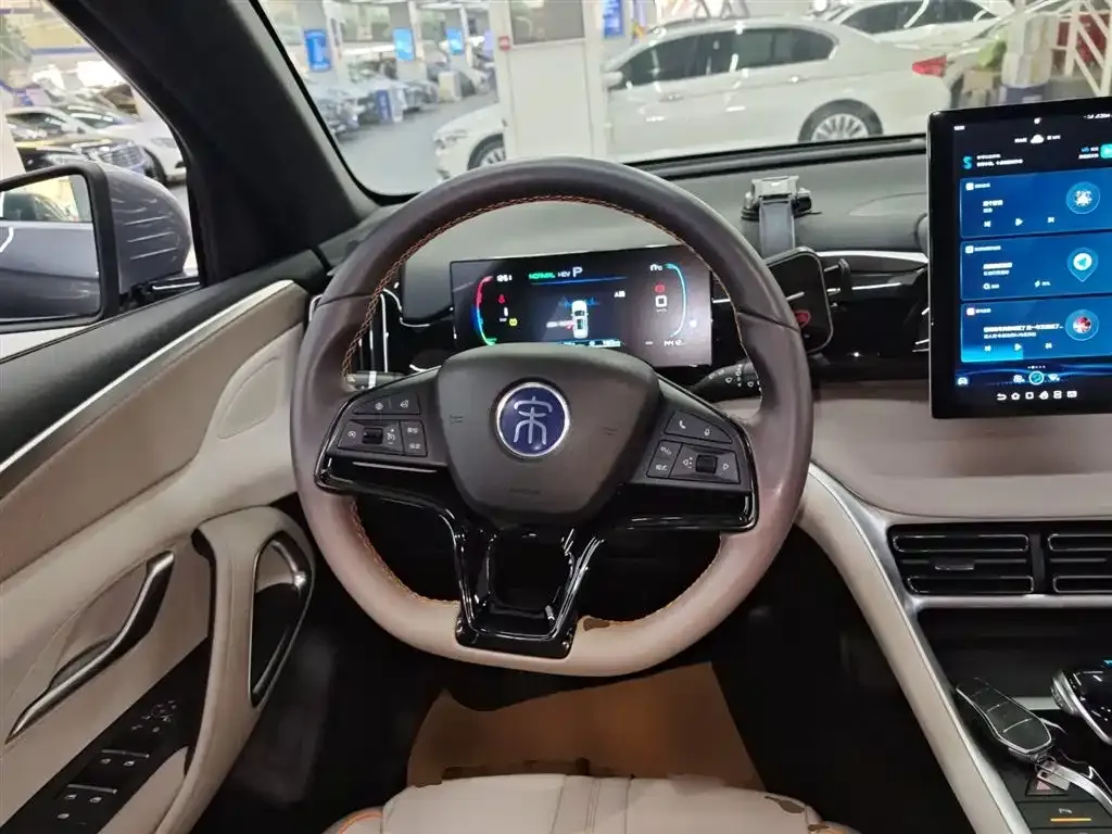 BYD Pro New Energy 2024 из CN, фото 6