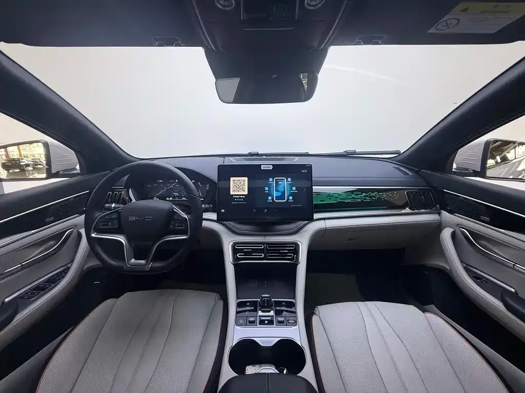 BYD PLUS New Energy — фото 10