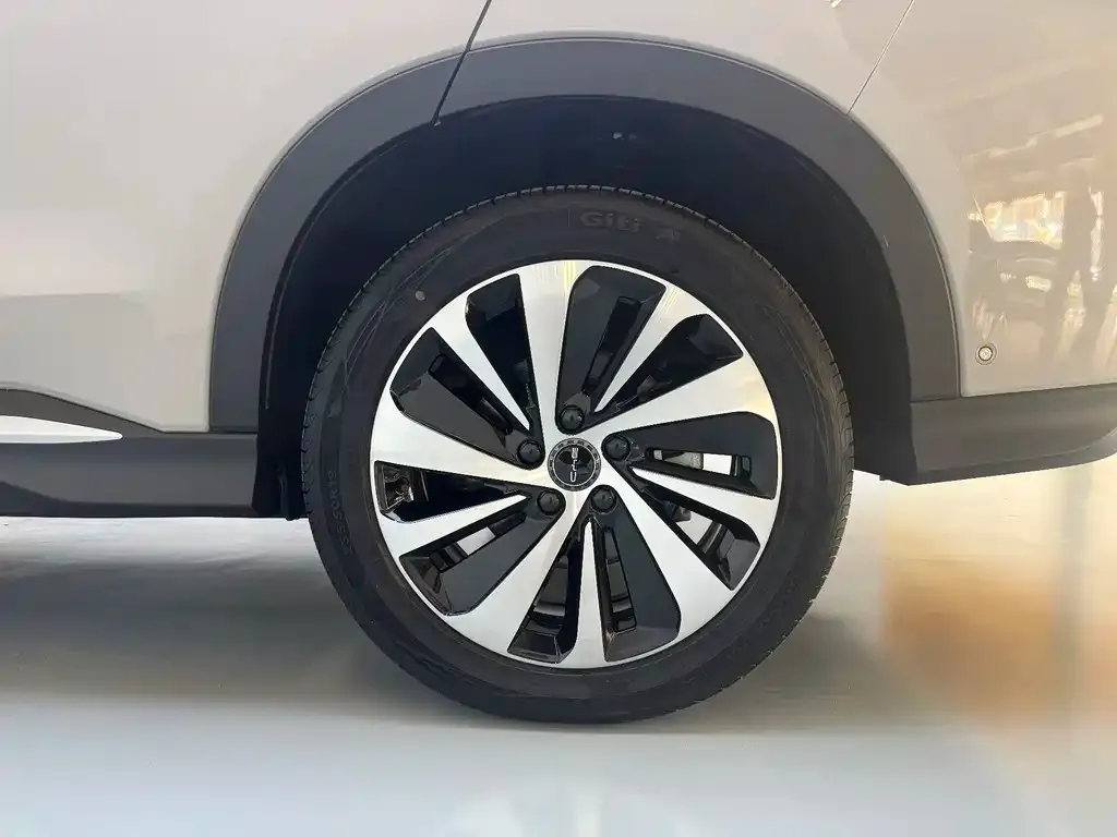 BYD PLUS New Energy — фото 8