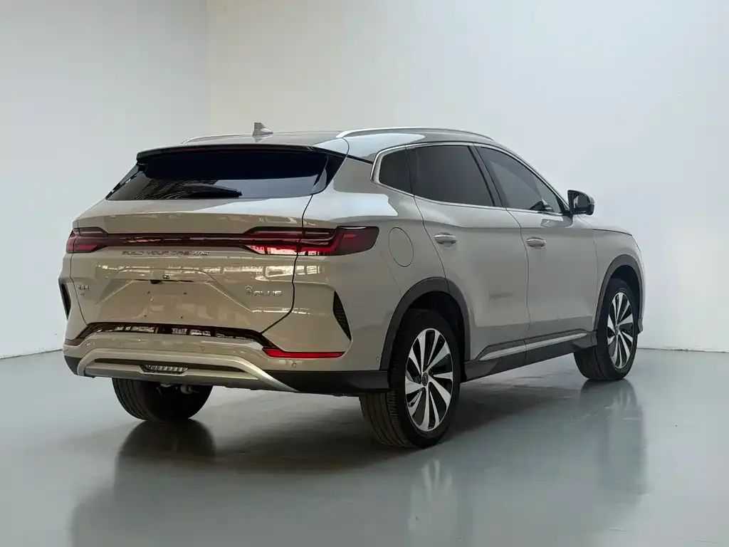 BYD PLUS New Energy — фото 6