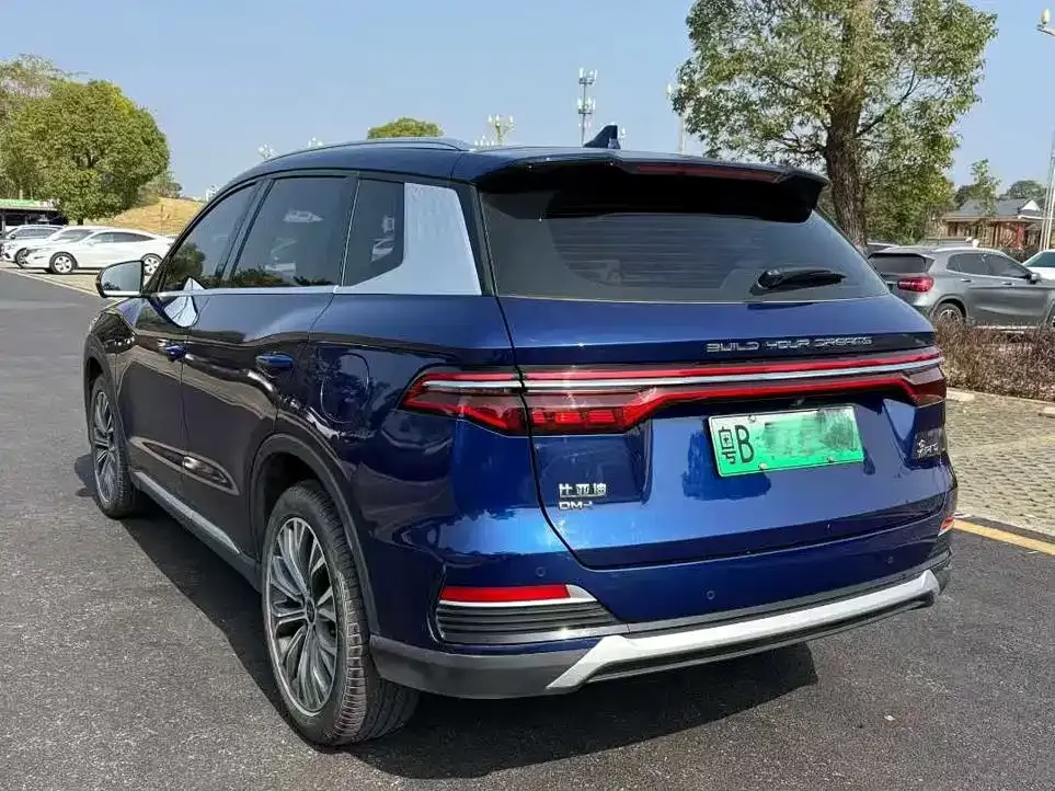 BYD Pro New Energy — фото 8