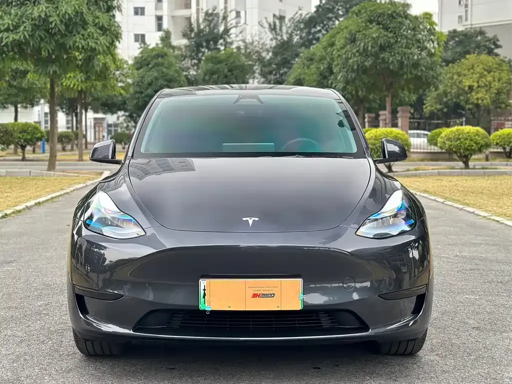 Tesla Model Y — фото 6