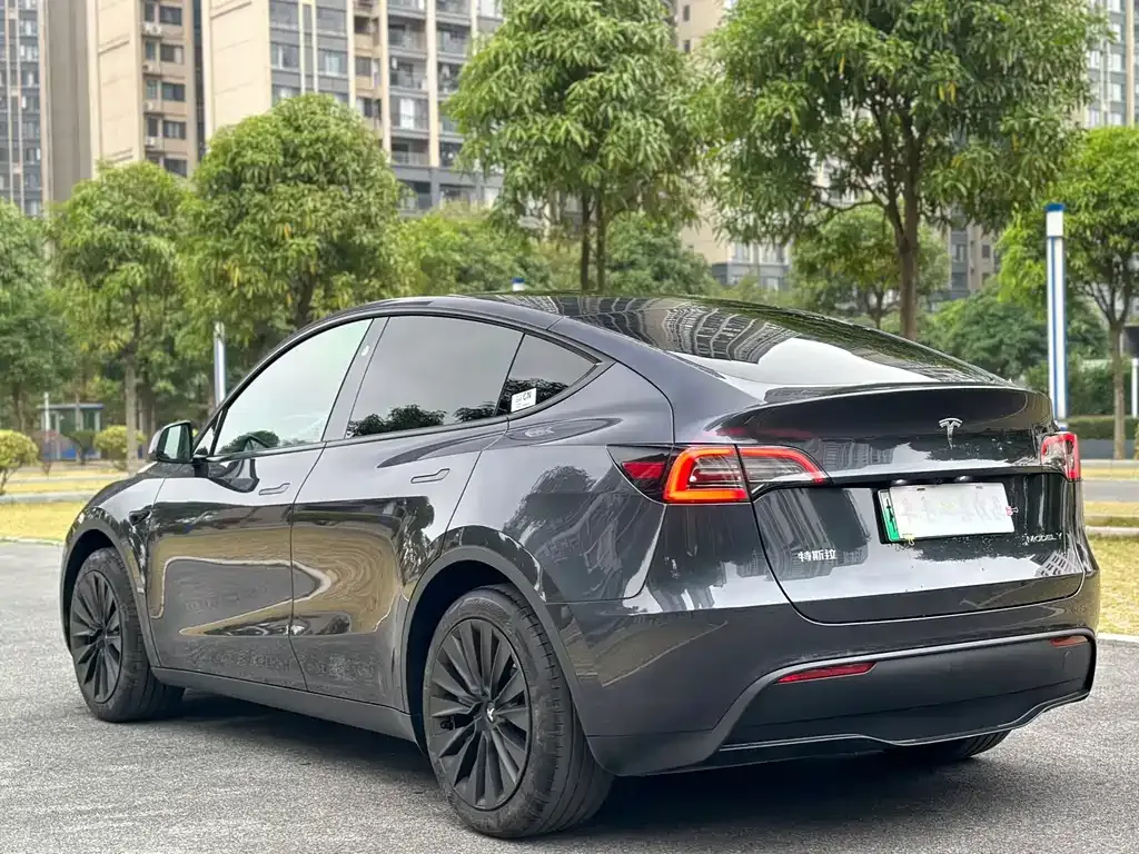 Tesla Model Y — фото 9