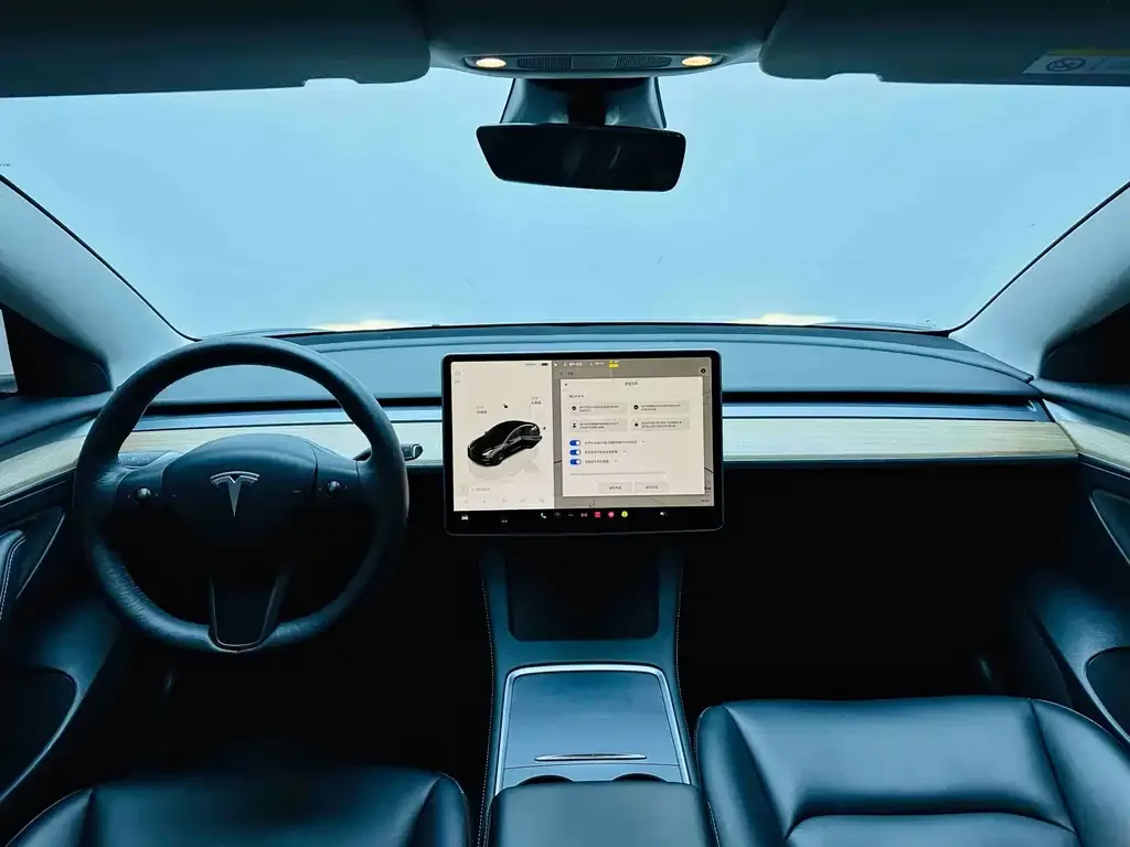 Tesla Model 3 2023 из CN, фото 10