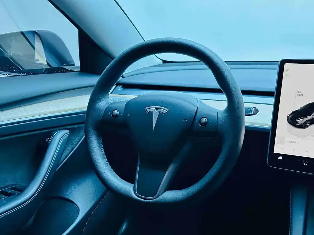 Tesla Model 3 2023 из CN, фото 5