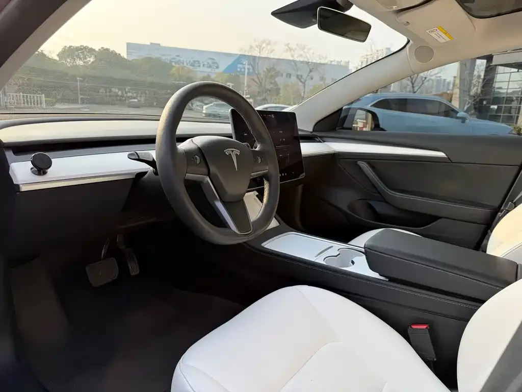 Tesla Model 3 2022 из CN, фото 4