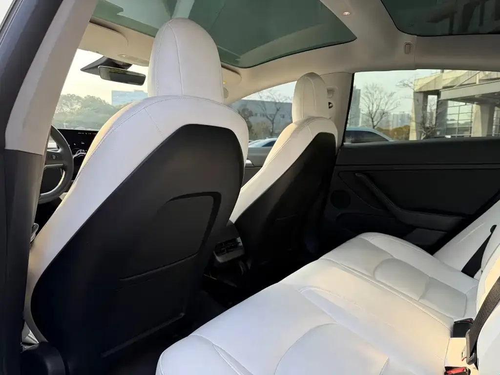 Tesla Model 3 2022 из CN, фото 6