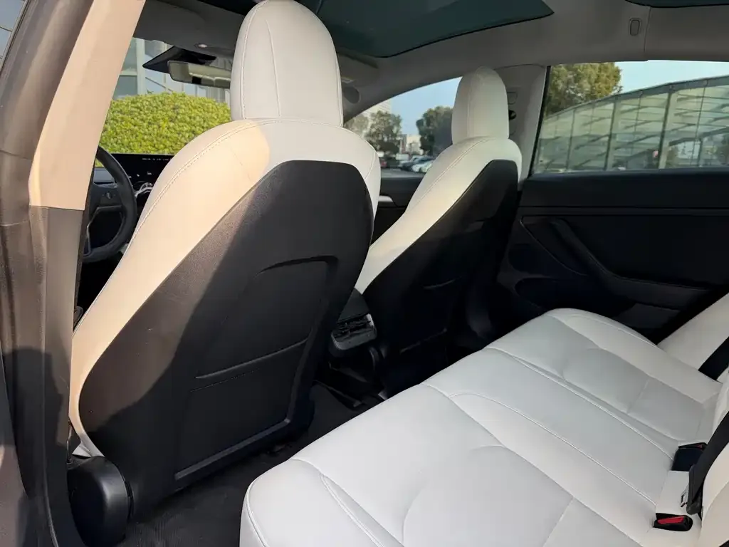 Tesla Model 3 2022 из CN, фото 3