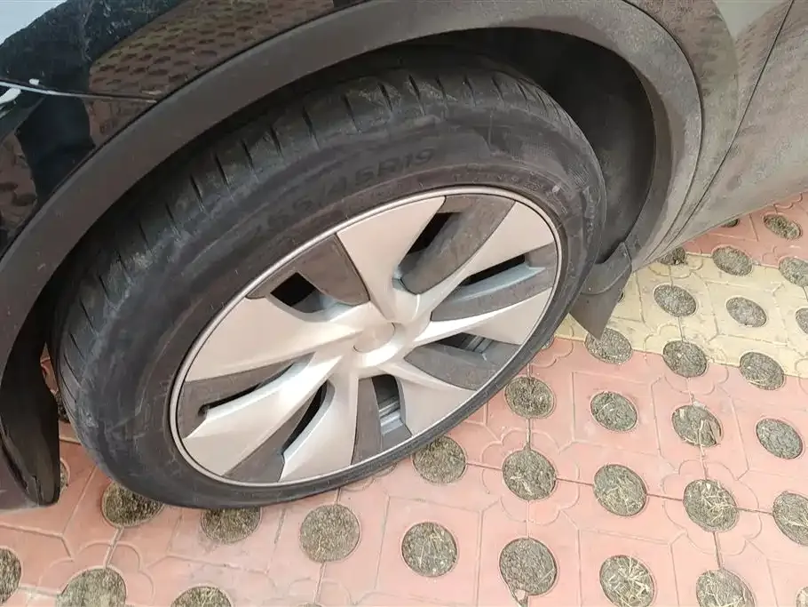 Tesla Model Y 2023 из CN, фото 5