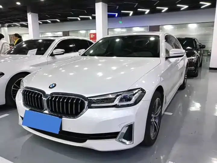 BMW 5 Series 2021 из CN, фото 1