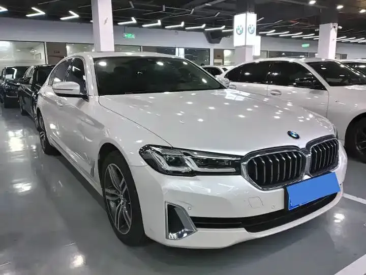 BMW 5 Series 2021 из CN, фото 3