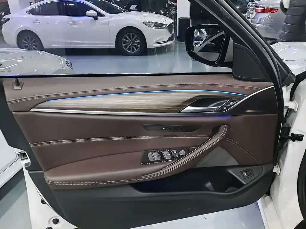 BMW 5 Series 2021 из CN, фото 4