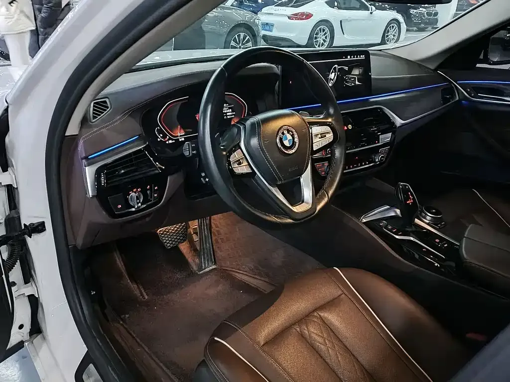 BMW 5 Series 2021 из CN, фото 8