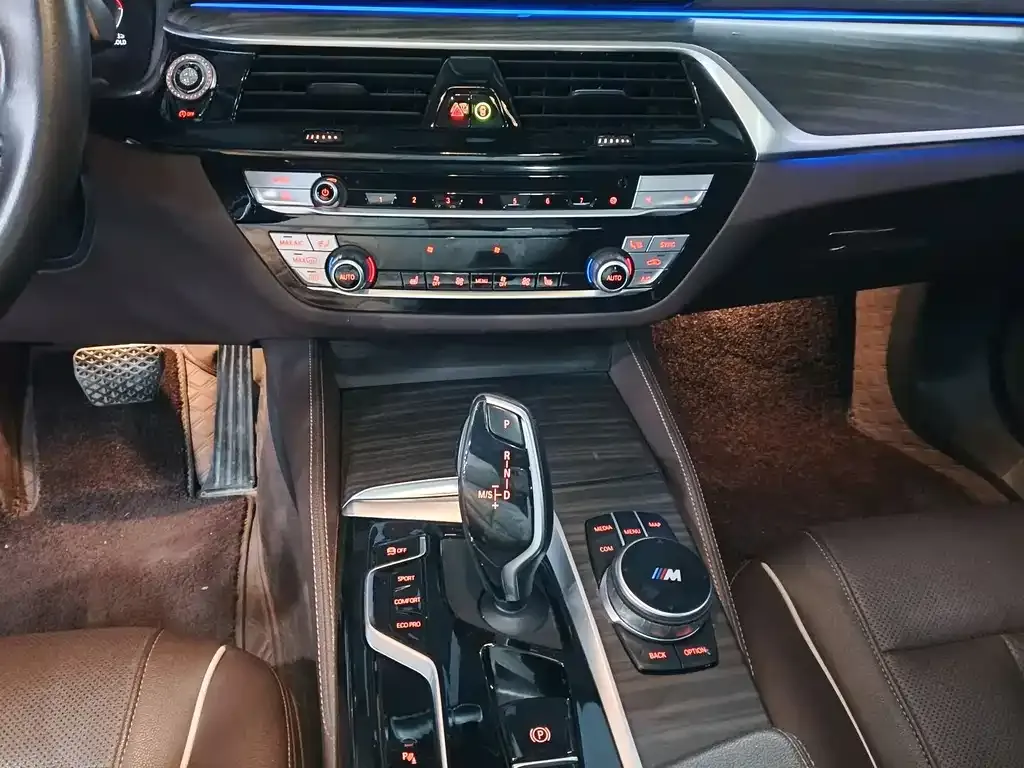 BMW 5 Series 2021 из CN, фото 10