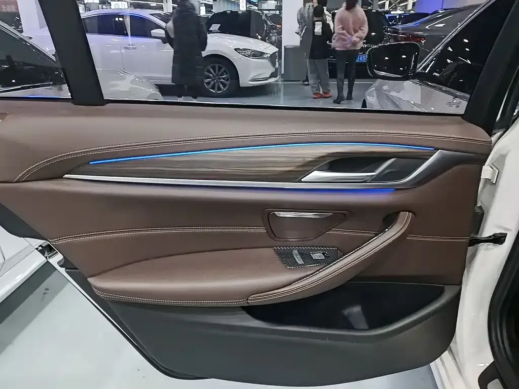 BMW 5 Series 2021 из CN, фото 9