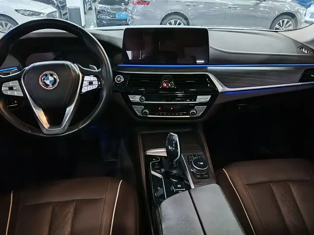 BMW 5 Series 2021 из CN, фото 6