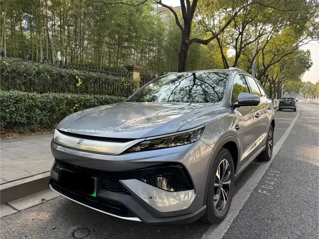 BYD Pro New Energy 2025 из CN, фото 1