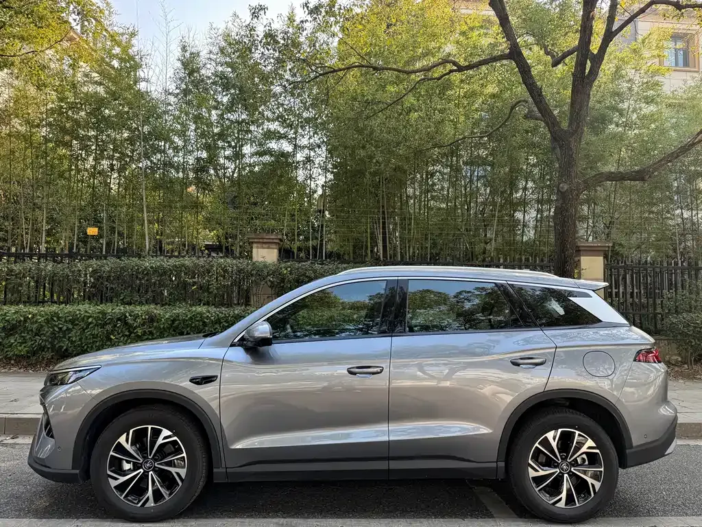 BYD Pro New Energy 2025 из CN, фото 10