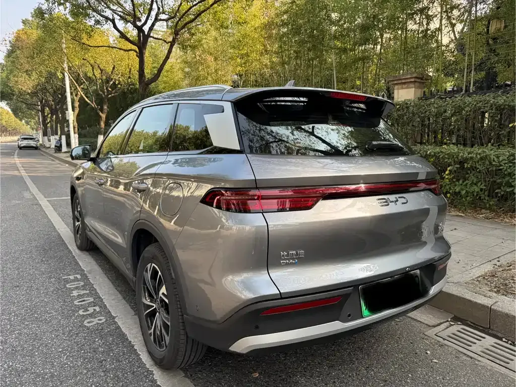 BYD Pro New Energy 2025 из CN, фото 5
