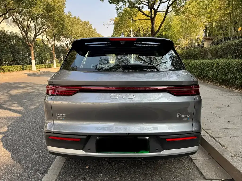 BYD Pro New Energy 2025 из CN, фото 8