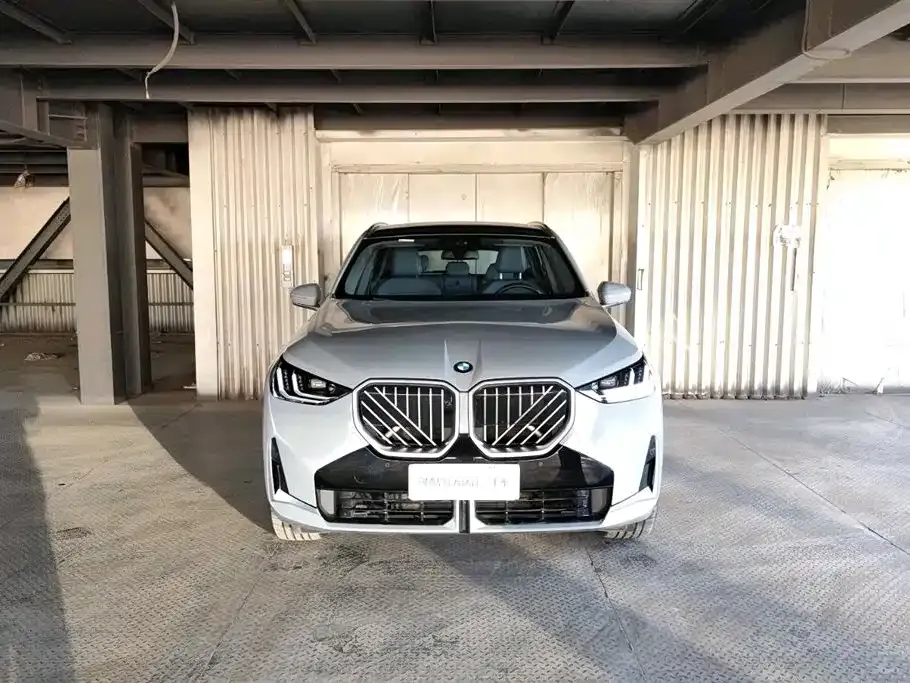 BMW X3 2025 из CN, фото 3
