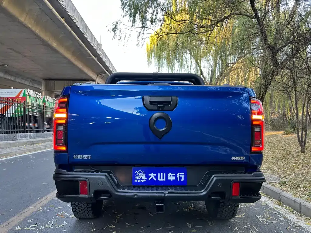 Great Wall Pao 2021 из CN, фото 8