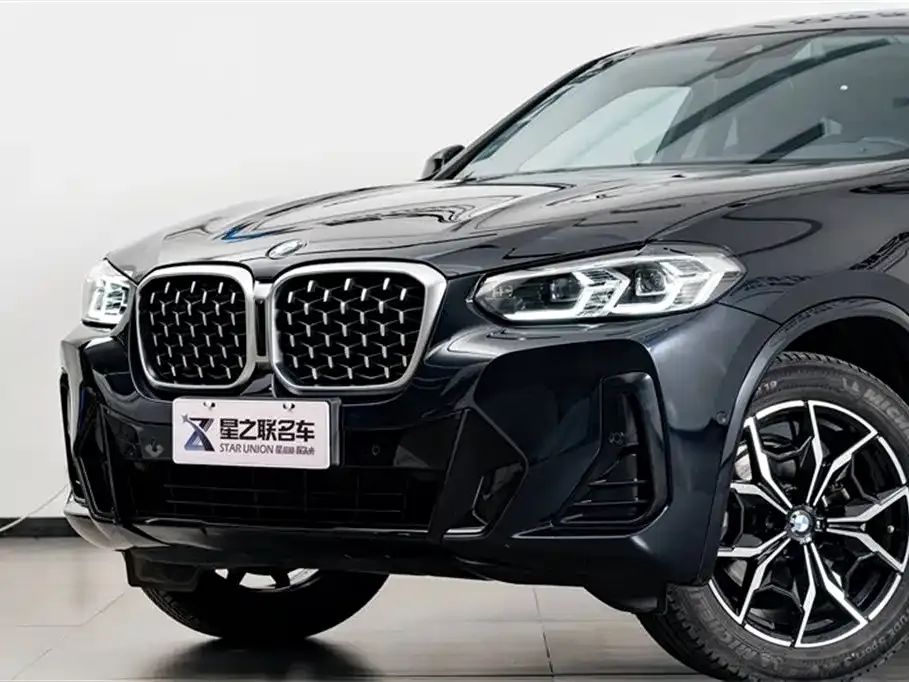 BMW X4 2023 из CN, фото 10