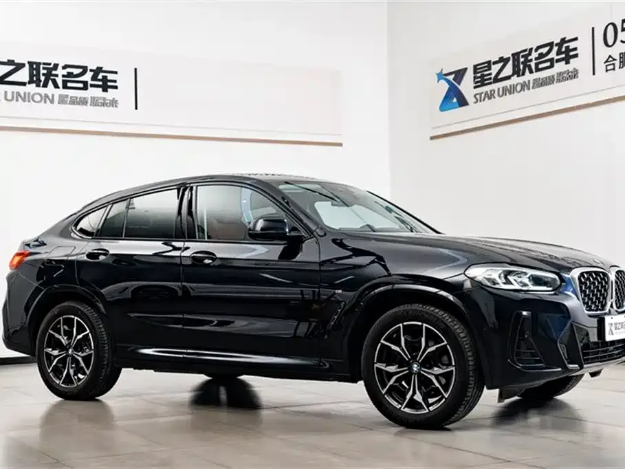BMW X4 2023 из CN, фото 7