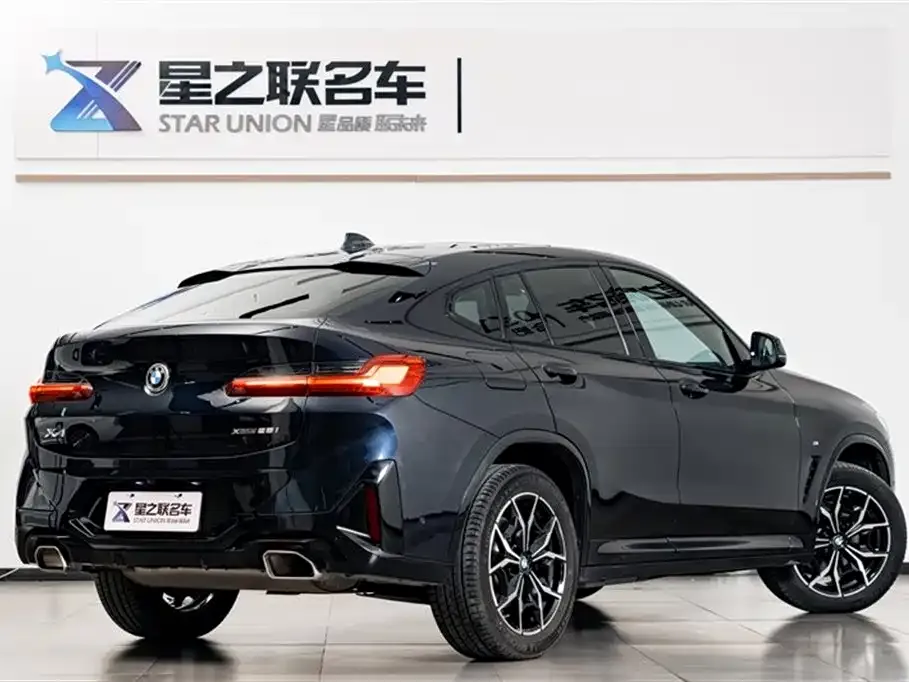 BMW X4 2023 из CN, фото 4