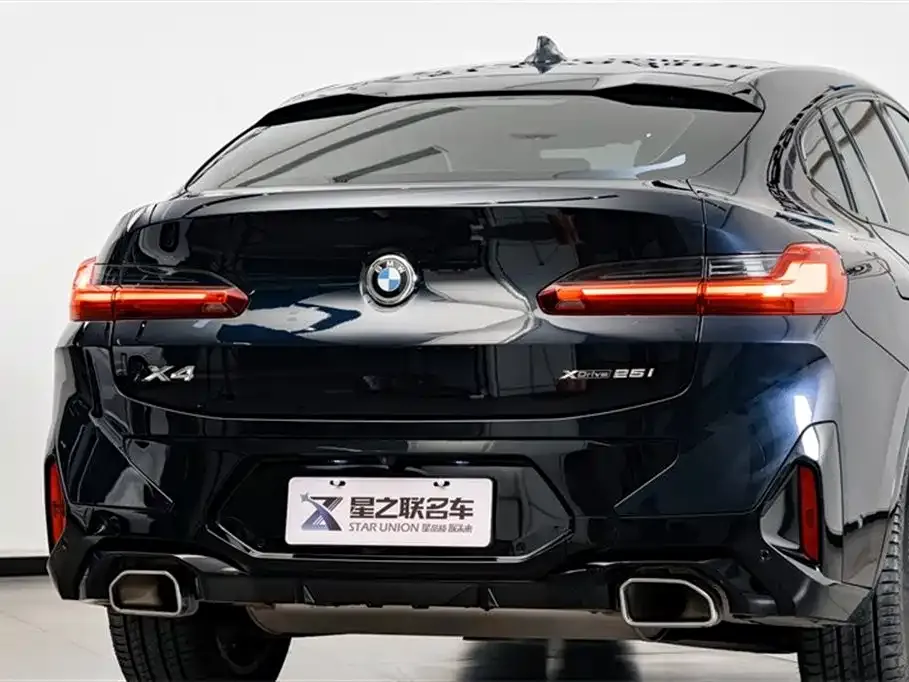 BMW X4 2023 из CN, фото 6