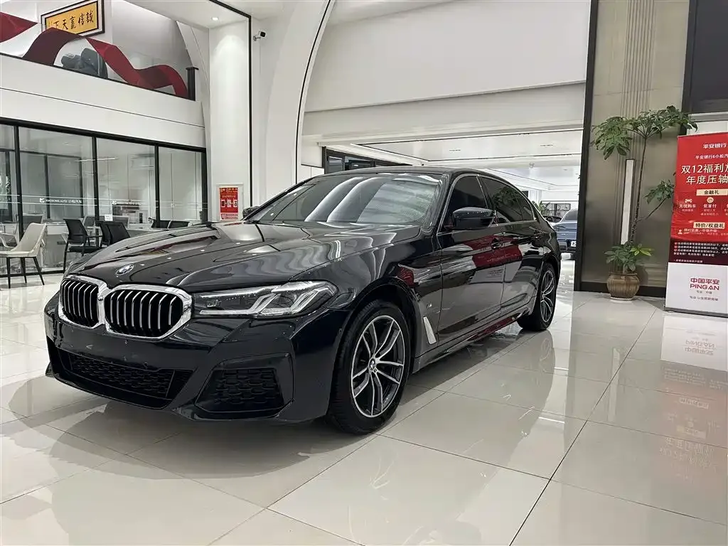 BMW 5 Series 2024 из CN, фото 1