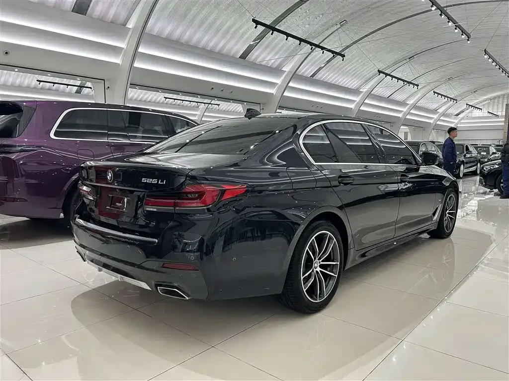 BMW 5 Series 2024 из CN, фото 4