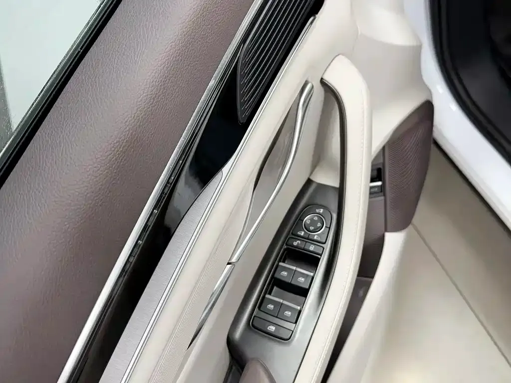 BYD PLUS New Energy — фото 10