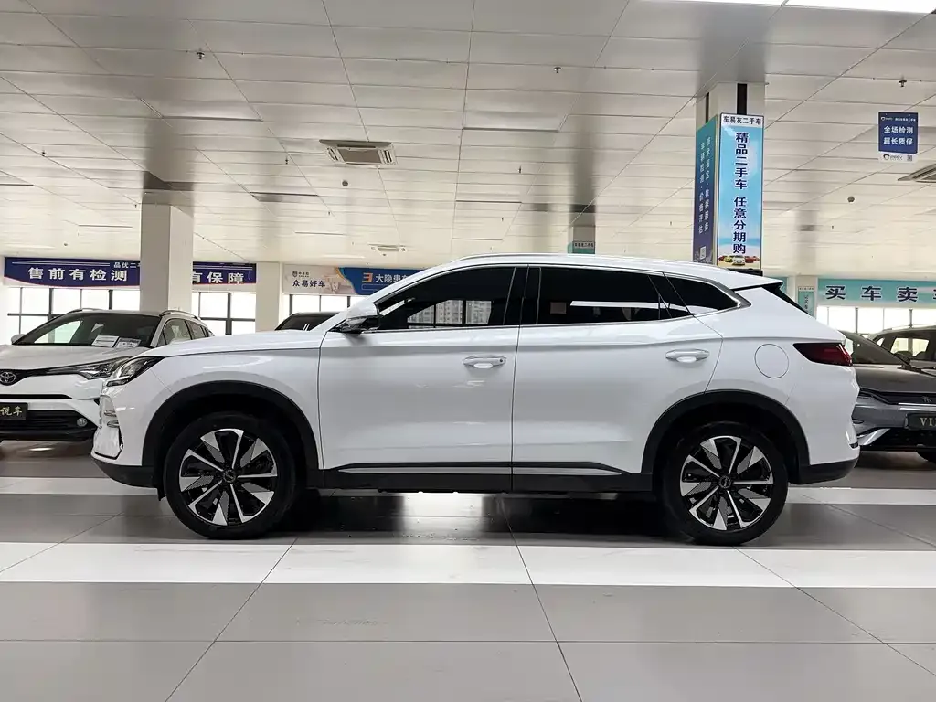 BYD PLUS New Energy — фото 3